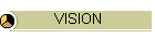 VISION